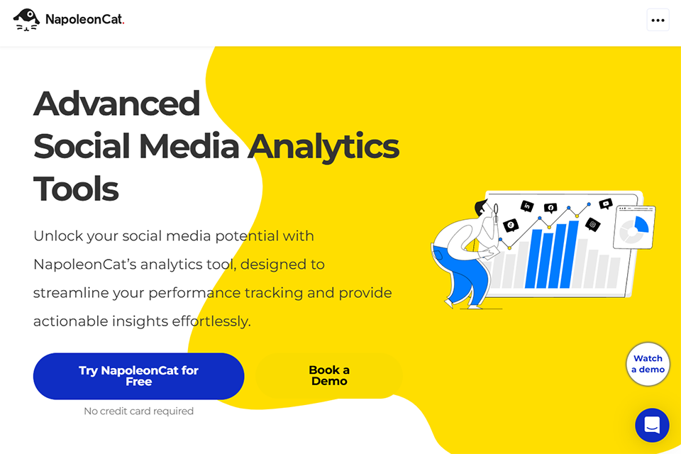 napoleoncat web analysis tool