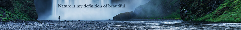 nature photography quote nature is my definition of beautiful
