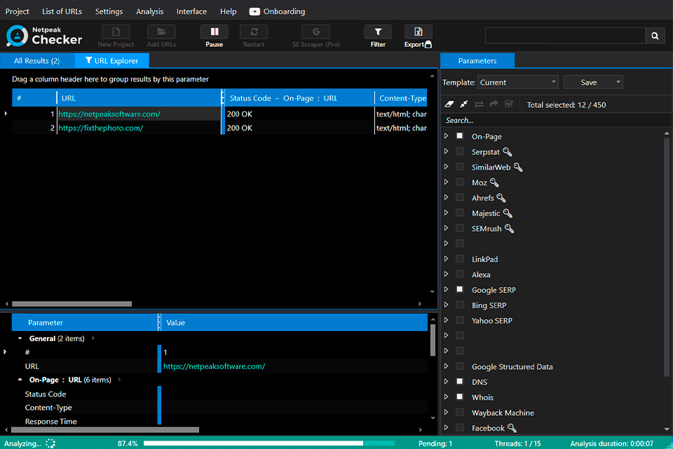 checking netpeak checker software review