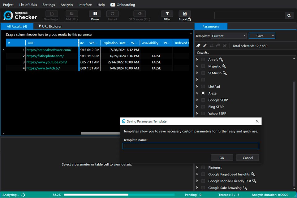 domain netpeak checker software review