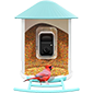 netvue birdfy ai bird feeder camera for birds