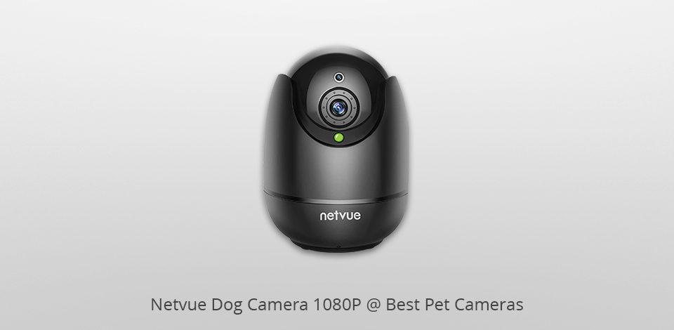 netvue dog 1080p  pet camera