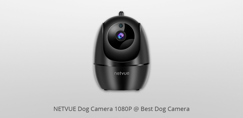 netvue dog camera 1080p dog camera