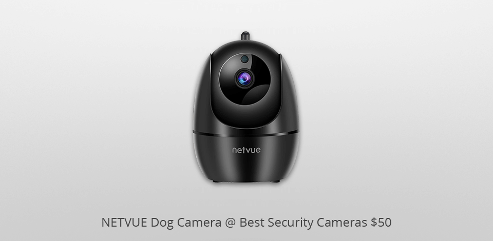 netvue dog  security camera under 50