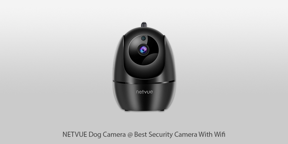 netvue dog  security camera with wifi