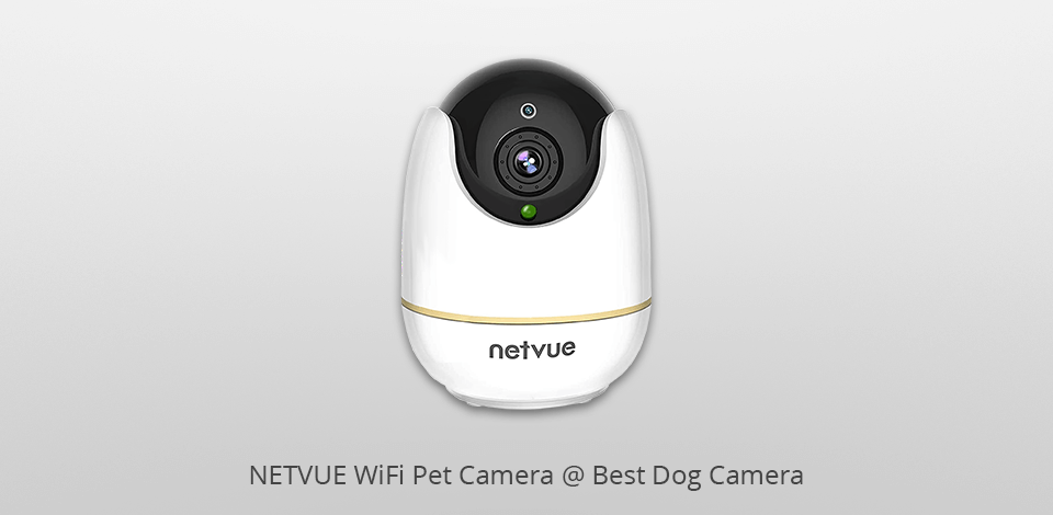netvue wifi pet camera dog camera