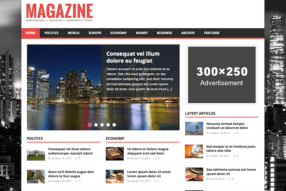 newsmag lite wordpress video theme interface