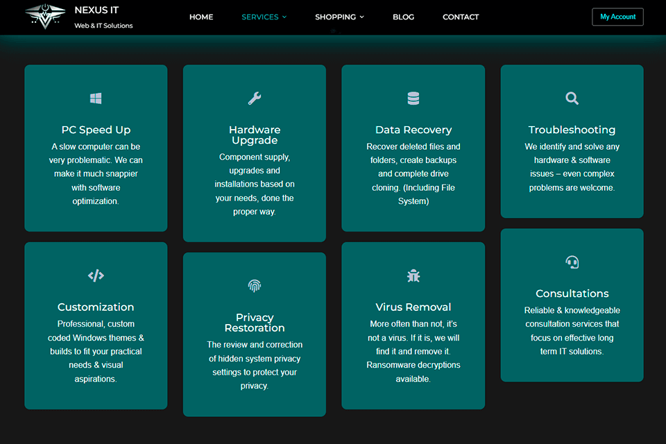 nexus it computer repair