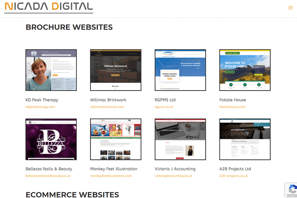 nicada review portfolio examples