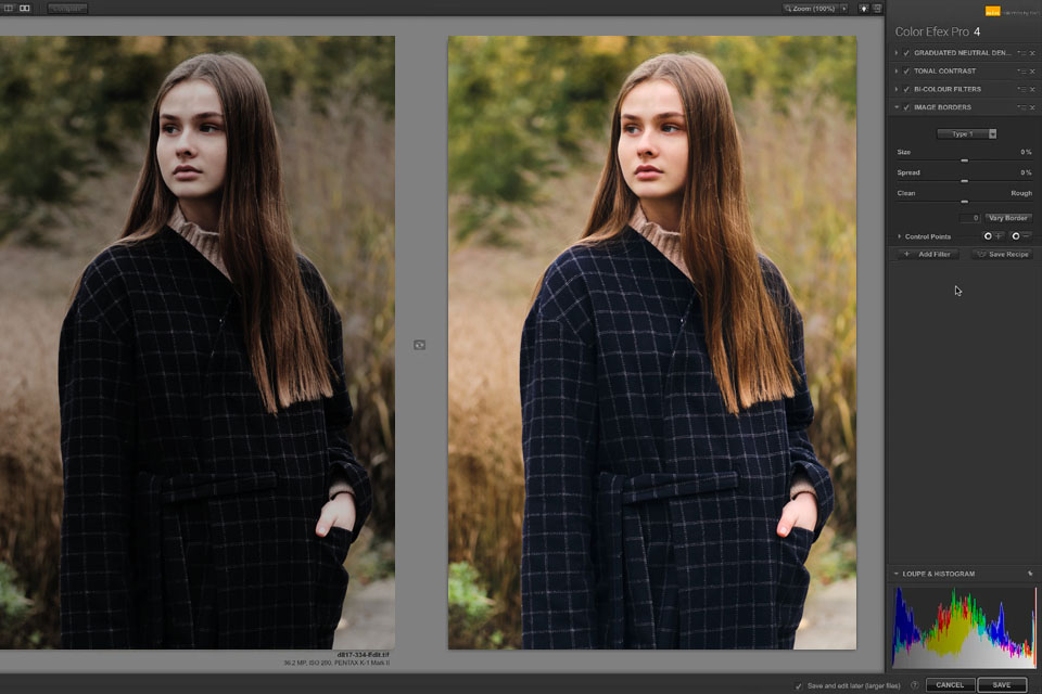 nik collection automatic photo editor