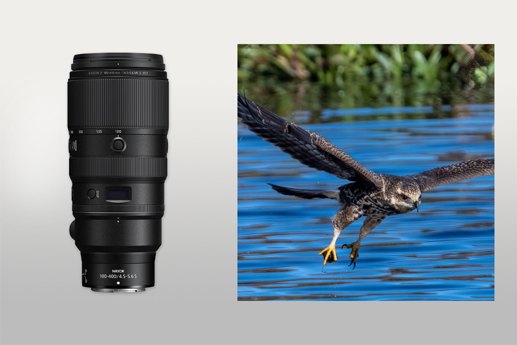 nikon 100-400mm wildlife lens