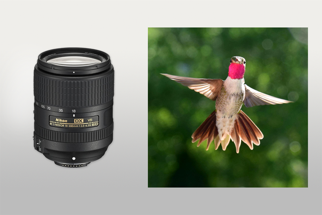 nikon 18-300mm wildlife lens
