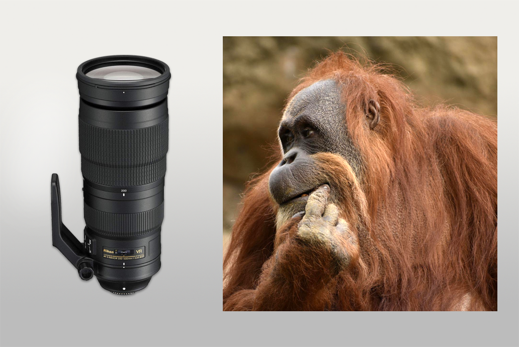 nikon 200-500mm af-s ed vr lens for nikon d3300