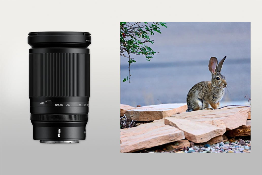 nikon 28-400mm wildlife lens