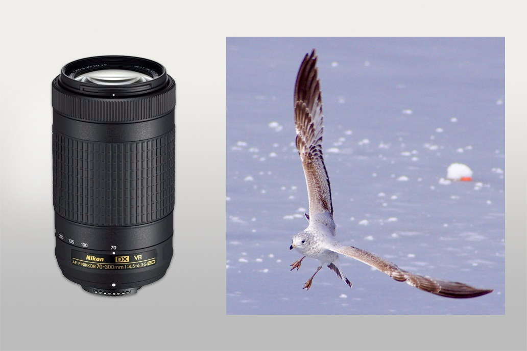 nikon af-p dx 70-300mm ed vr lens for nikon d3300