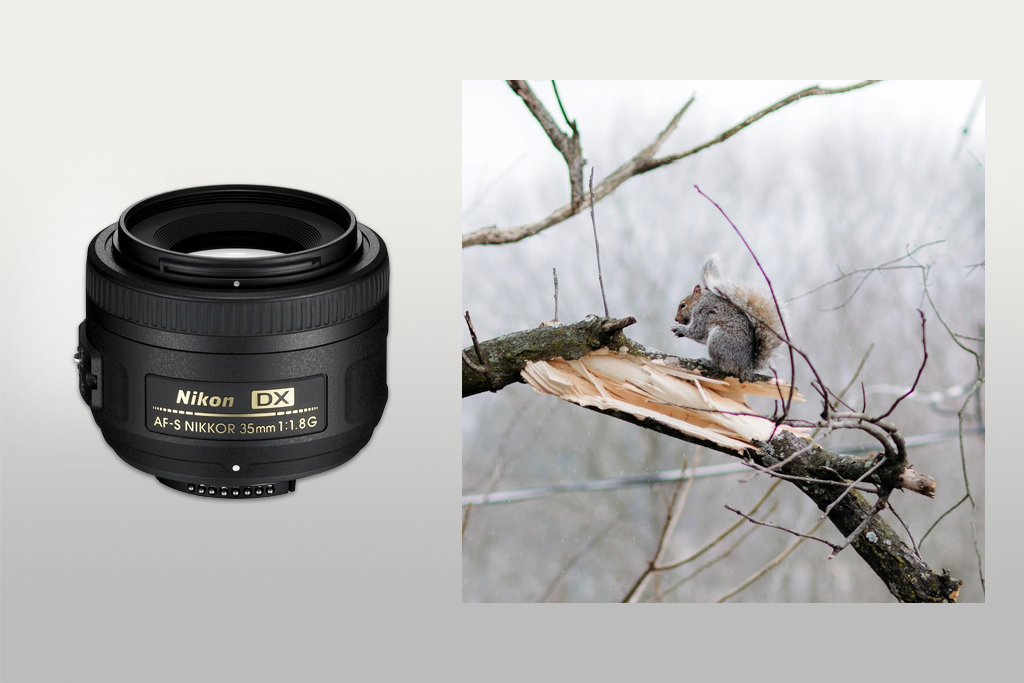 nikon af-s dx 35mm lens for d3500
