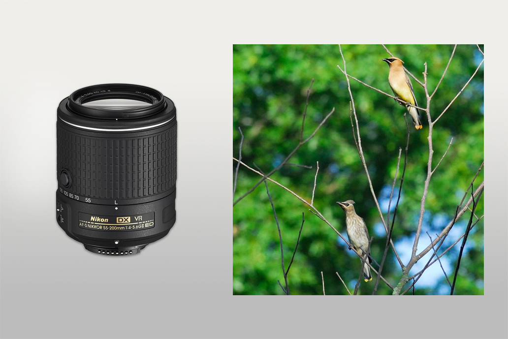 nikon af-s dx 55-200mm ed vr ii lens for nikon d90