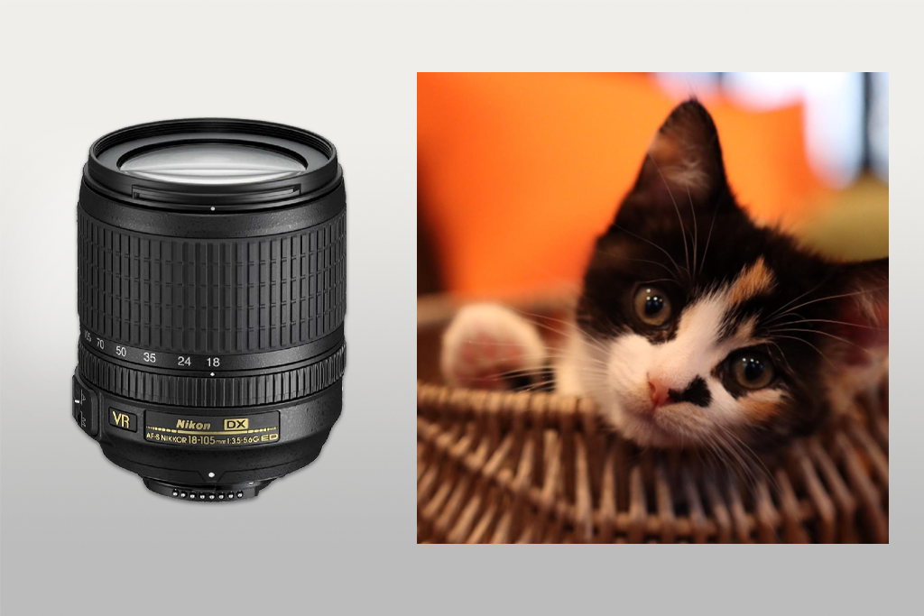 nikon af s dx nikkor 18 105mm f/3.5-5.6g lens