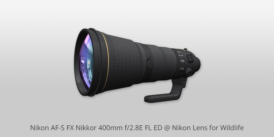 nikon af s fx nikkor 400mm f2.8e fl ed nikon lens for wildlife