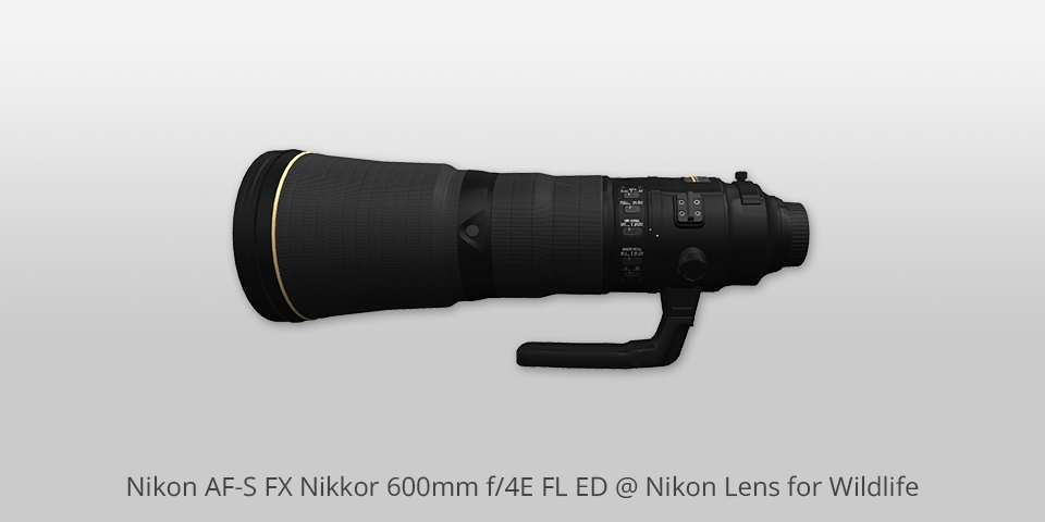 nikon af s fx nikkor 600mm f4e fl ed nikon lens for wildlife