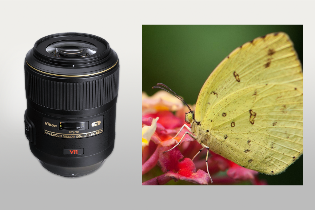 nikon af-s vr micro-nikkor 105mm f/2.8g lens