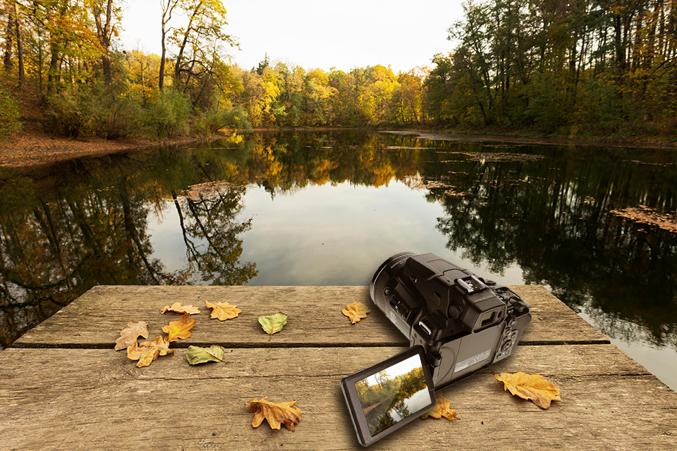 nikon coolpix p950 display