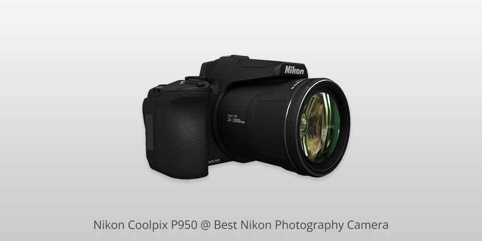 Quel est le bon appareil photo reflex de Nikon pour vous? - Blogue