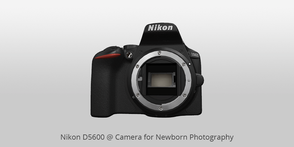 nikon d5600 camera for newborn photography