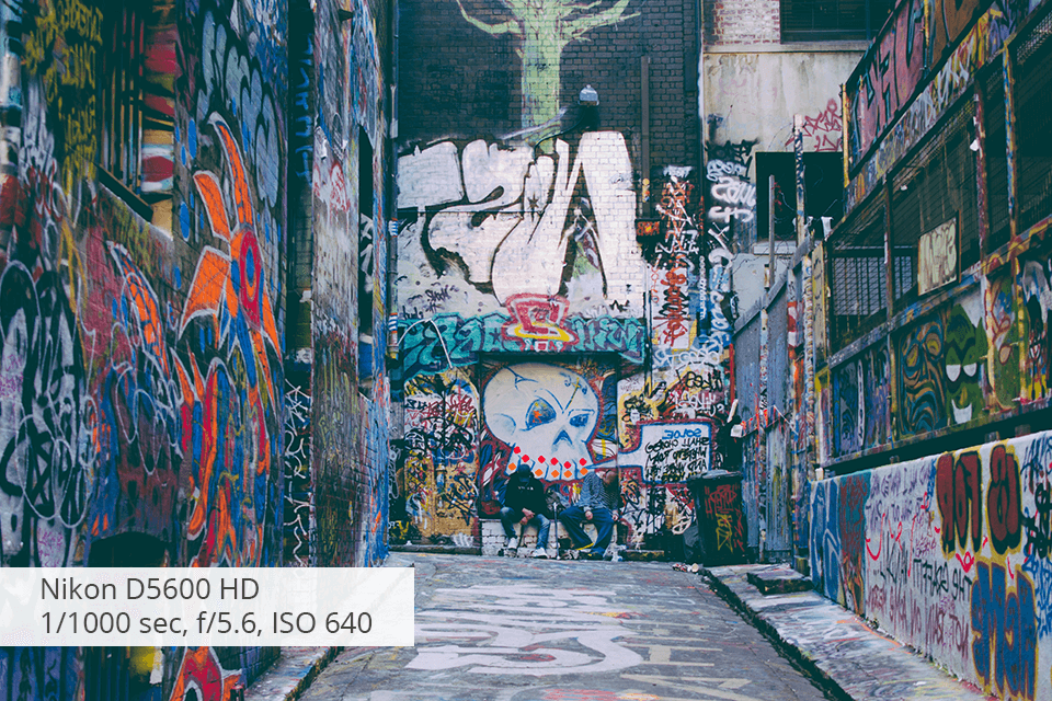 nikon d5600 video camera