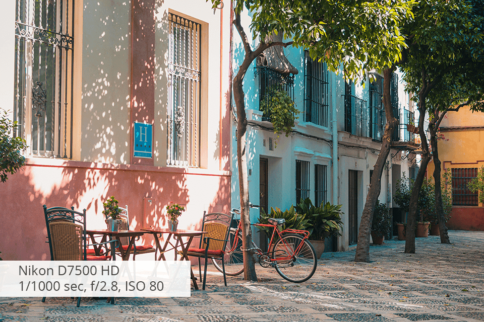 nikon d7500 video camera