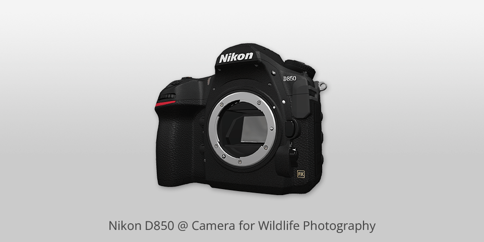 nikon d850 camera for wildlife photography