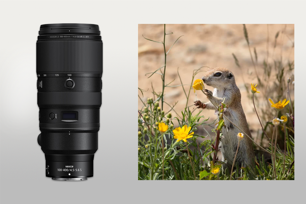 nikon nikkor z 100-400mm vr s lens example