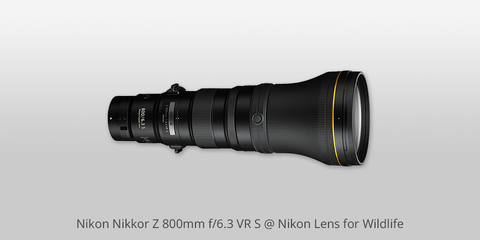 nikon wildlife lenses