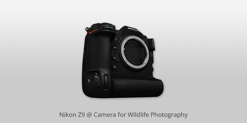 nikon z9 camera for wildlife photography