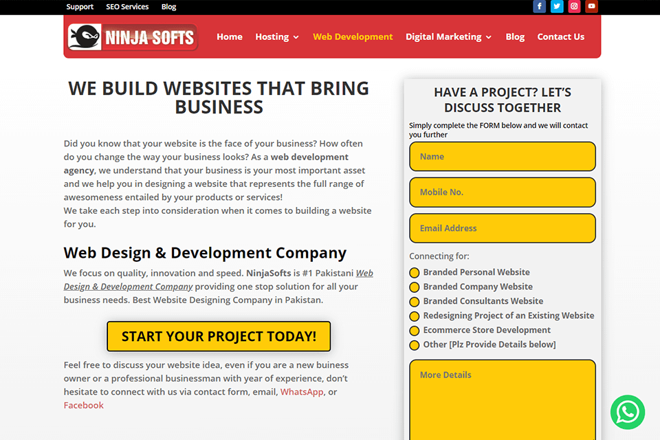 ninja softs website development
