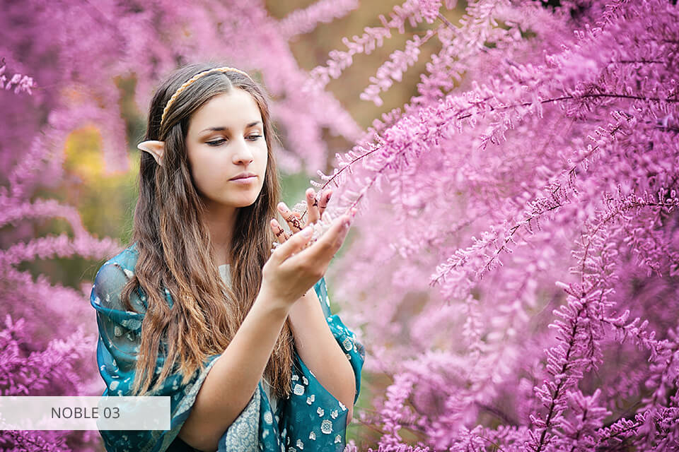 يجب أن يكون لدى نوبل إعدادات مسبقة لـ Lightroom