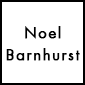noel barnhurst blog logo