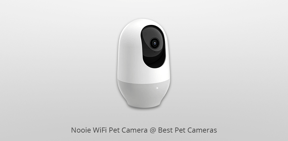 9 Best Pet Cameras For RV Use In 2024   Nooie Wifi Pet Camera 