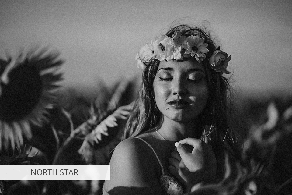 north star tribe archipelago preset