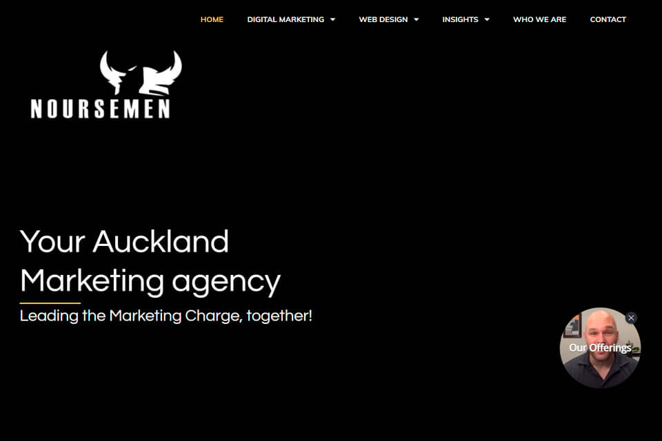 noursemen marketing interface