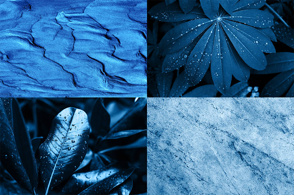 objects for shooting monochrome photography