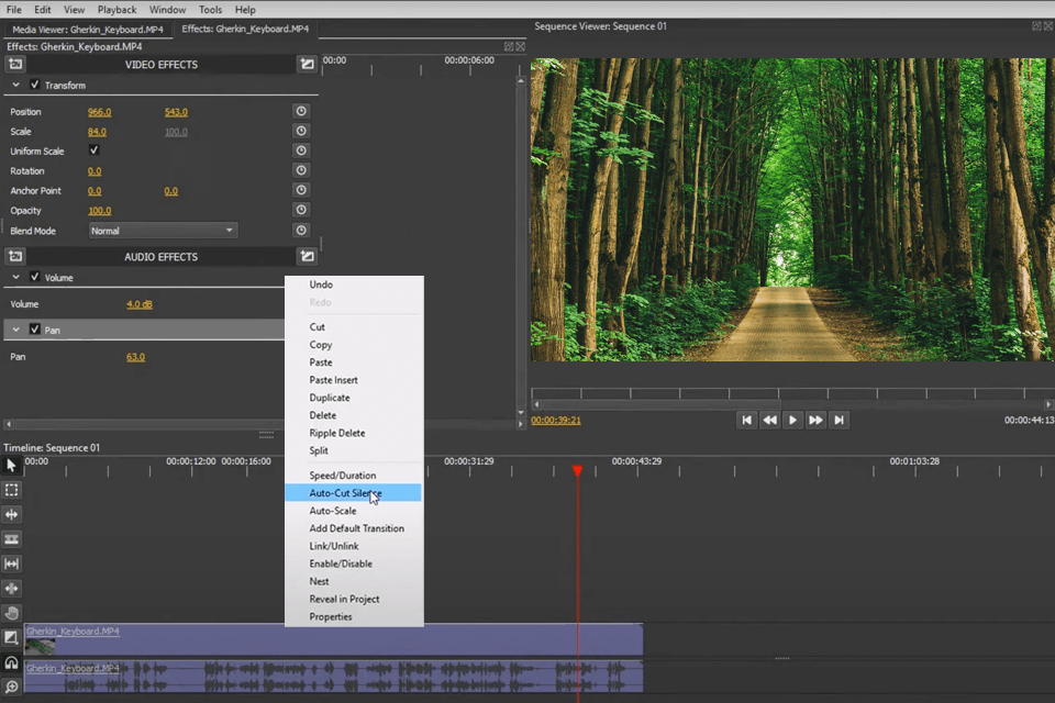 olive video silence remover interface