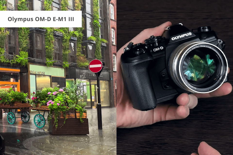 13 Best Cameras With IBIS To Say Goodbye to Shaky Photos