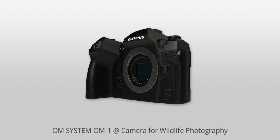 om system om-1 camera for wildlife photography