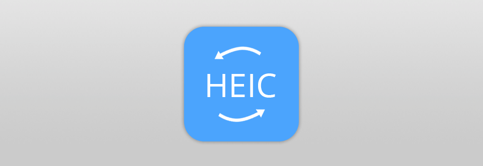 online heic converter vidmore software logo