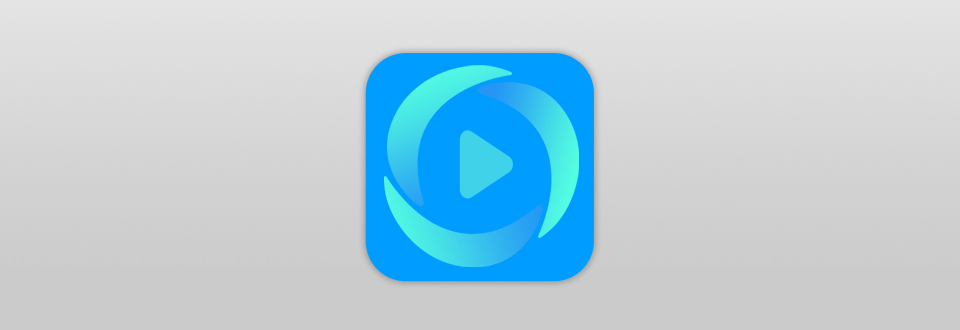 online video converter vidmore software logo