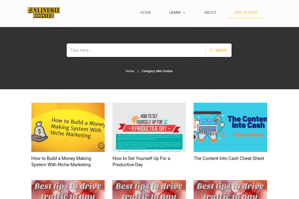 onlinebizbooster free mini guides