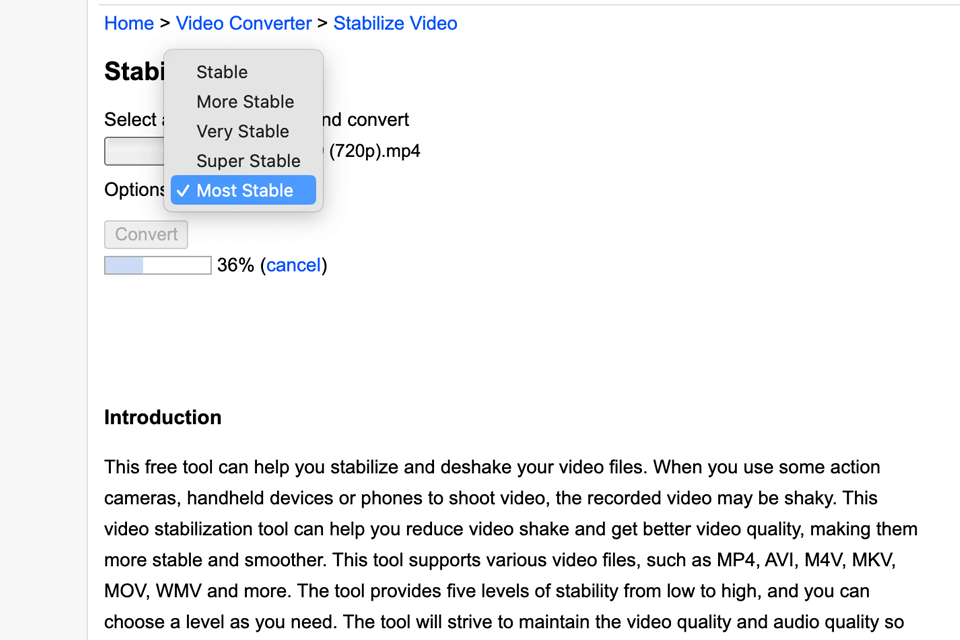 8 Online Video Stabilizers for Smooth Footage in 2024