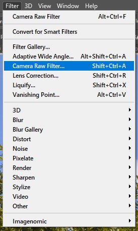 open camera raw to make grass green