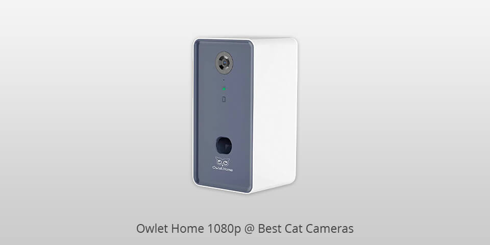 owlet home 1080p cat camera